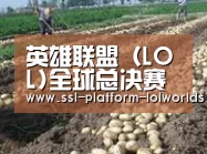 种植基地七(图1)