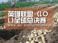 种植基地八