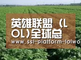 种植基地五
