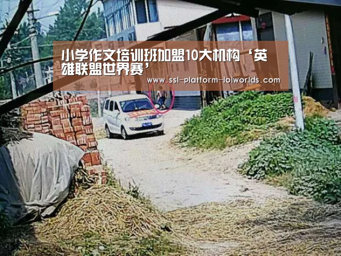 小学作文培训班加盟10大机构‘英雄联盟世界赛’(图3) 英雄联盟世界赛