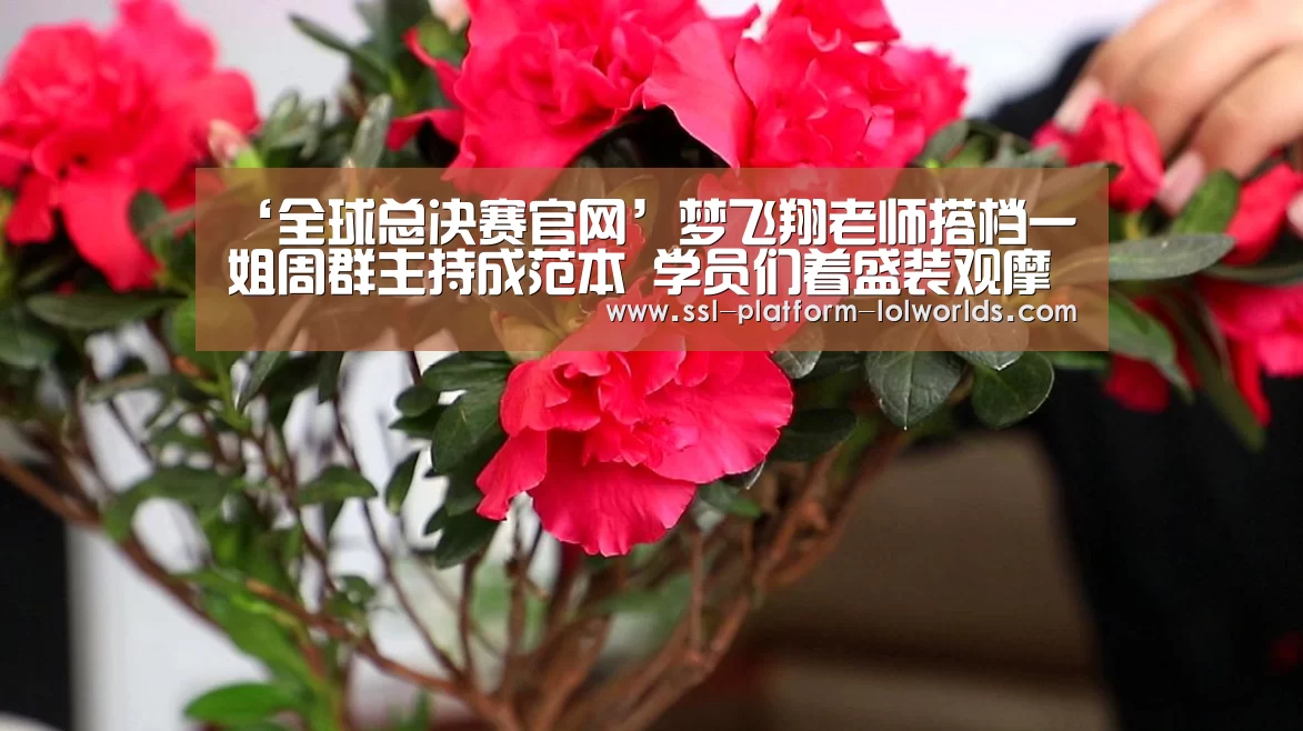 世界赛官网