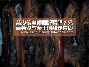 世界赛官网