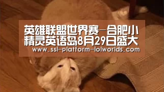 英雄联盟世界赛